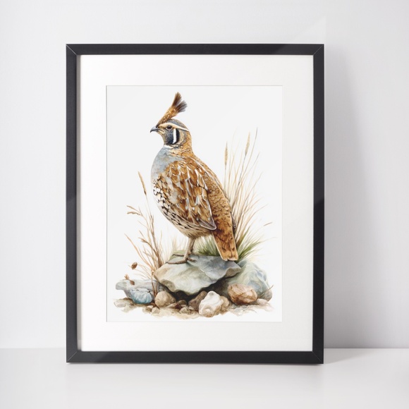 Watercolor Quail Wall Art Print, Unframed - Vibrant Nature-Inspired Home Decor - Picture 3 of 6